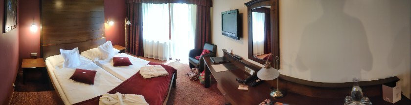 Wellness Hotel Borovica主图