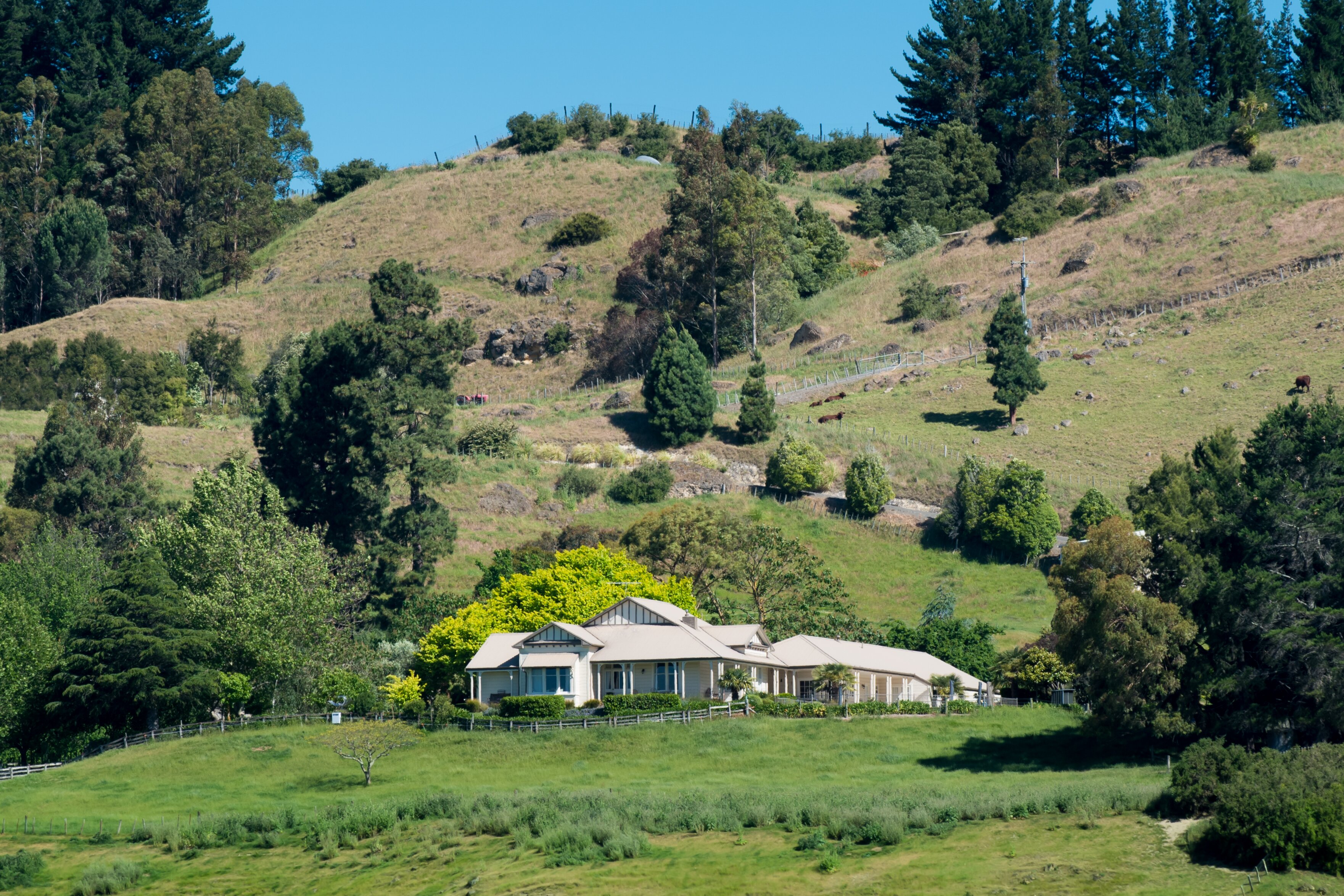 The Manse-官方