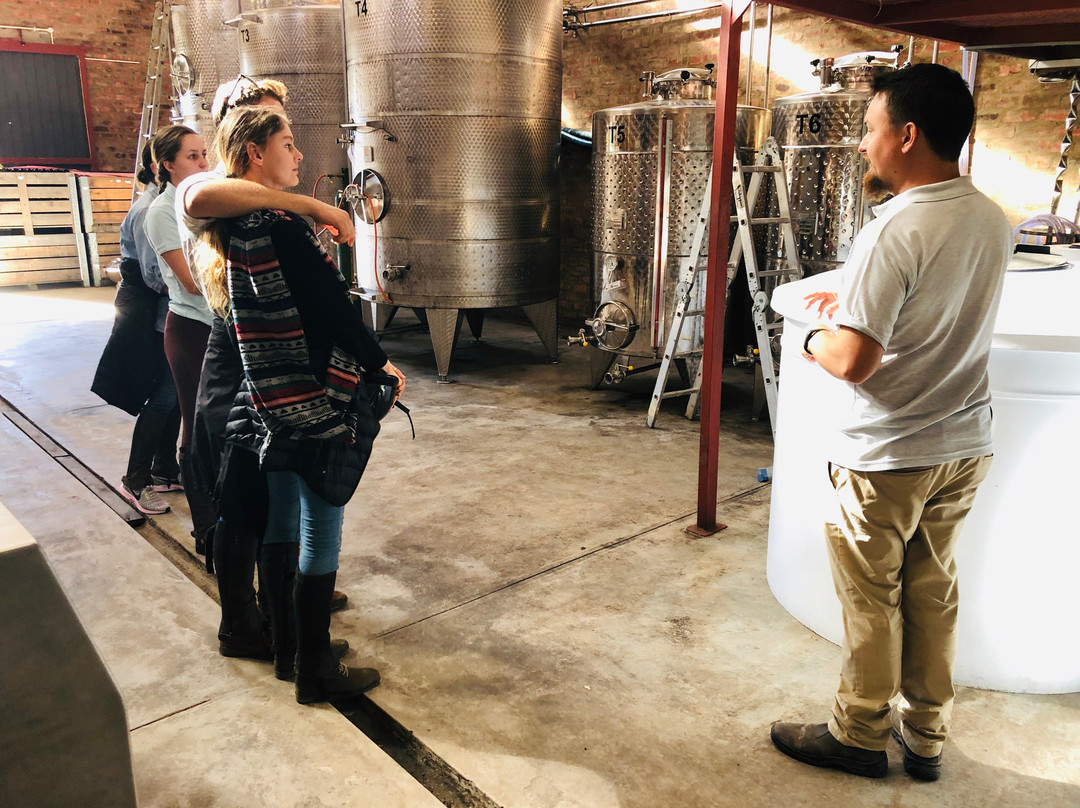 Hog Hollow Horse Trails-The Crags必去景点