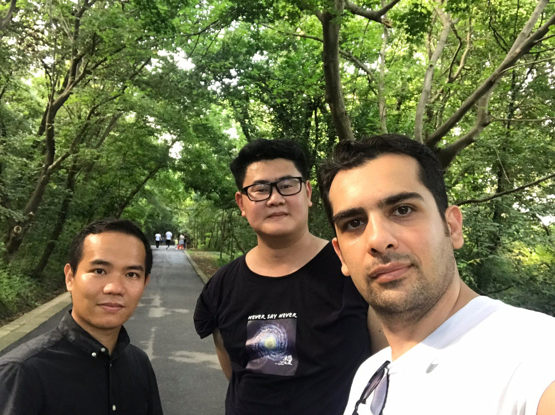 蜀山春晓-合肥市必去景点