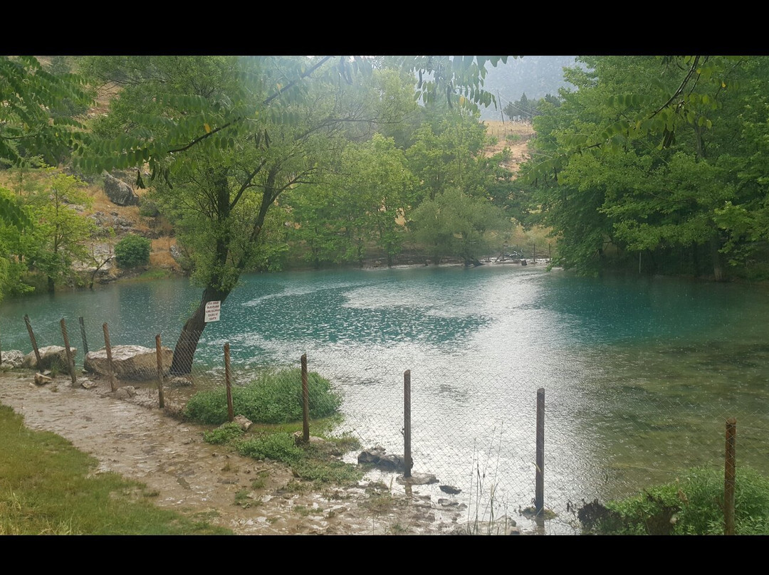 Green Lake景点图片