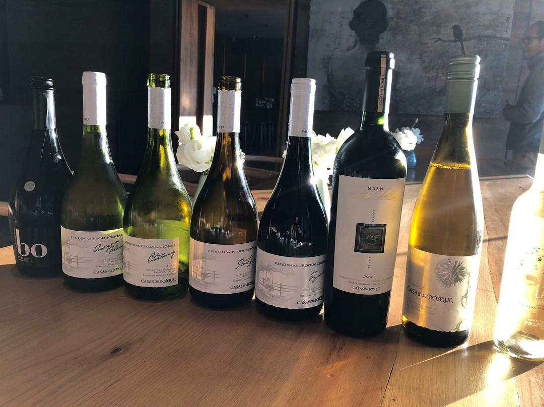 The Wine-拉塞雷纳必去景点