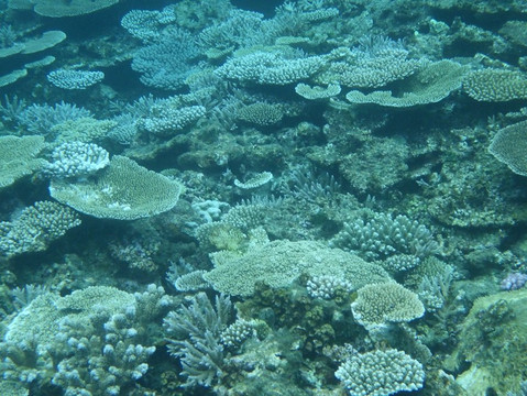 Yabiji Marineheart Miyakojima-Miyako-jima必去景点