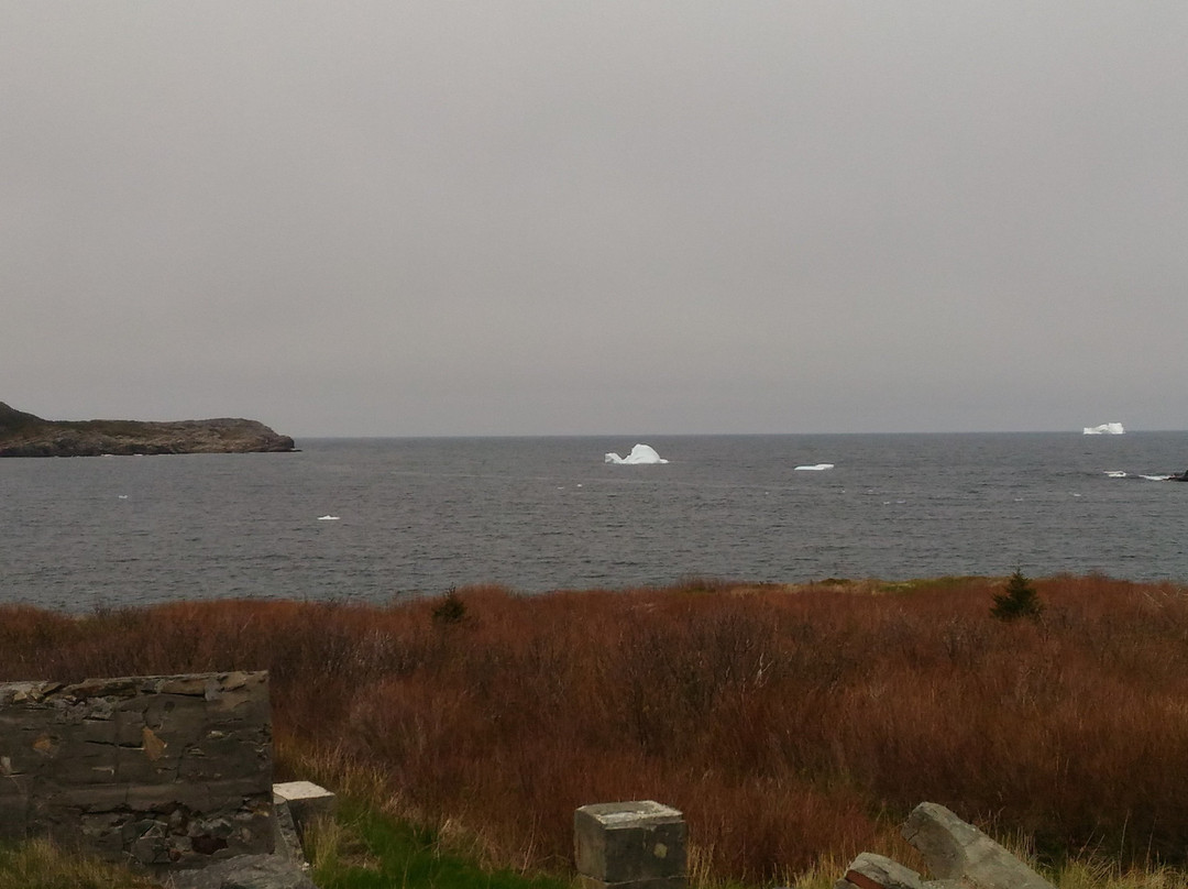 Bird Island Inn B&B主图