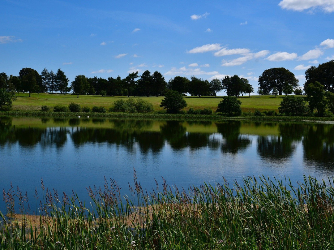 Lochmaben Golf Club景点图片