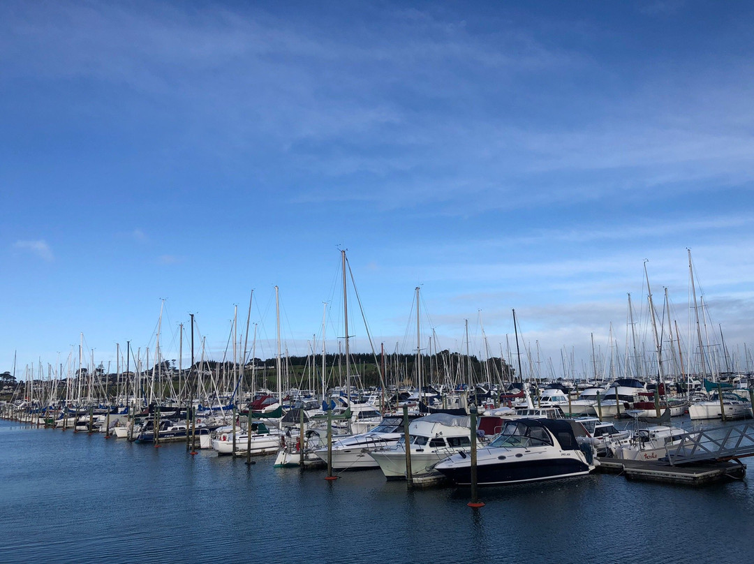Gulf Harbour Marina-旺阿帕劳阿必去景点