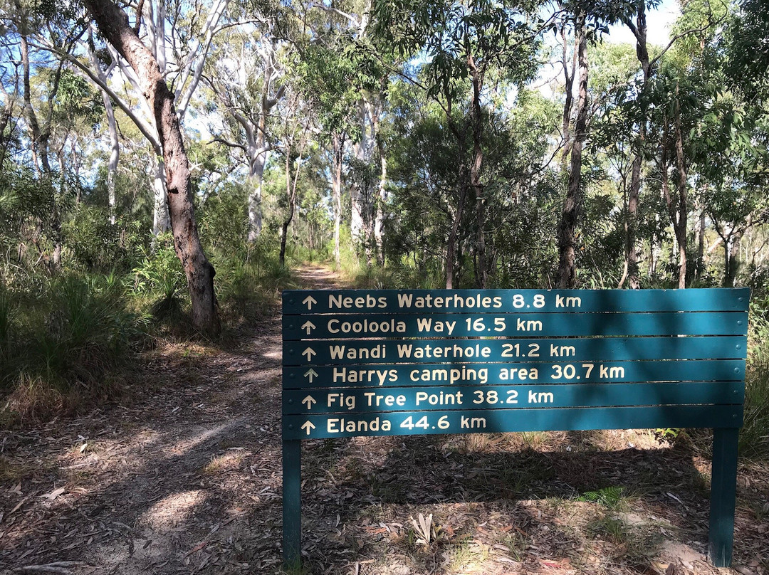 Cooloola Wilderness Trail景点图片