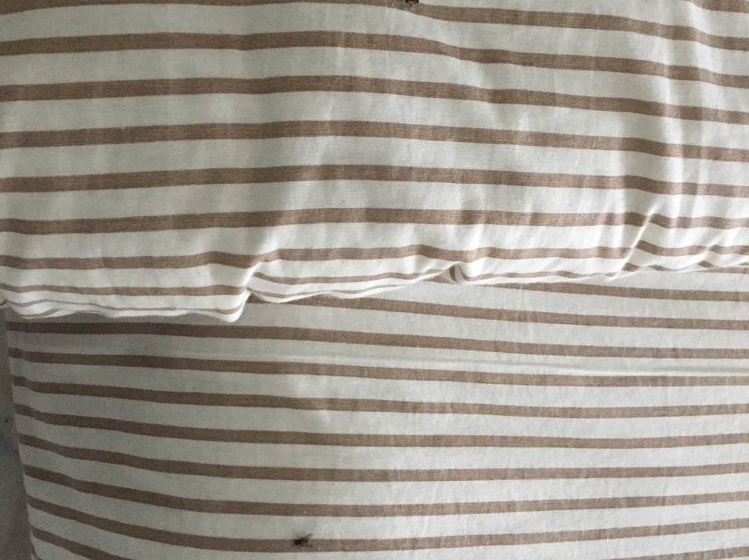 Chirping Hills Resort, Bhimtal主图