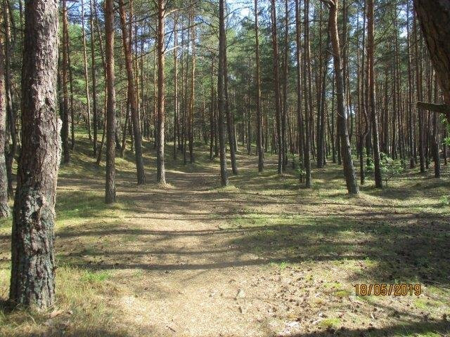Sunset Trail-Saulkrasti必去景点