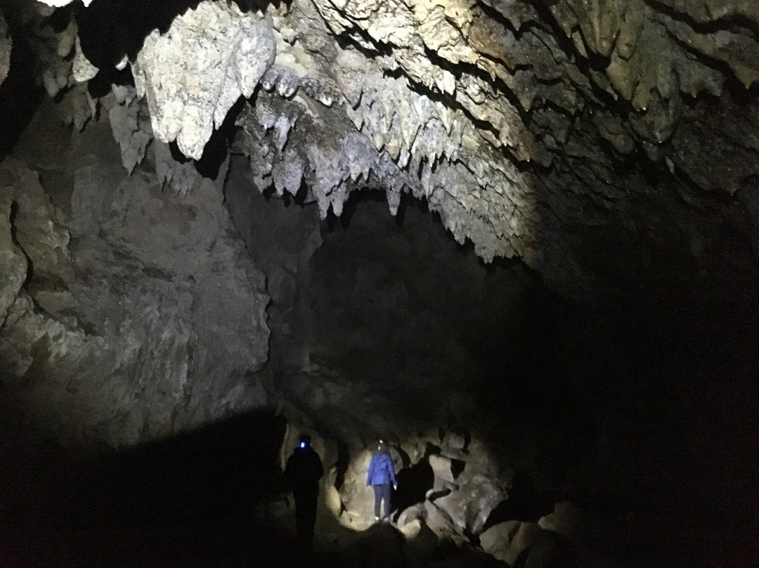 Waipu Caves Track景点图片