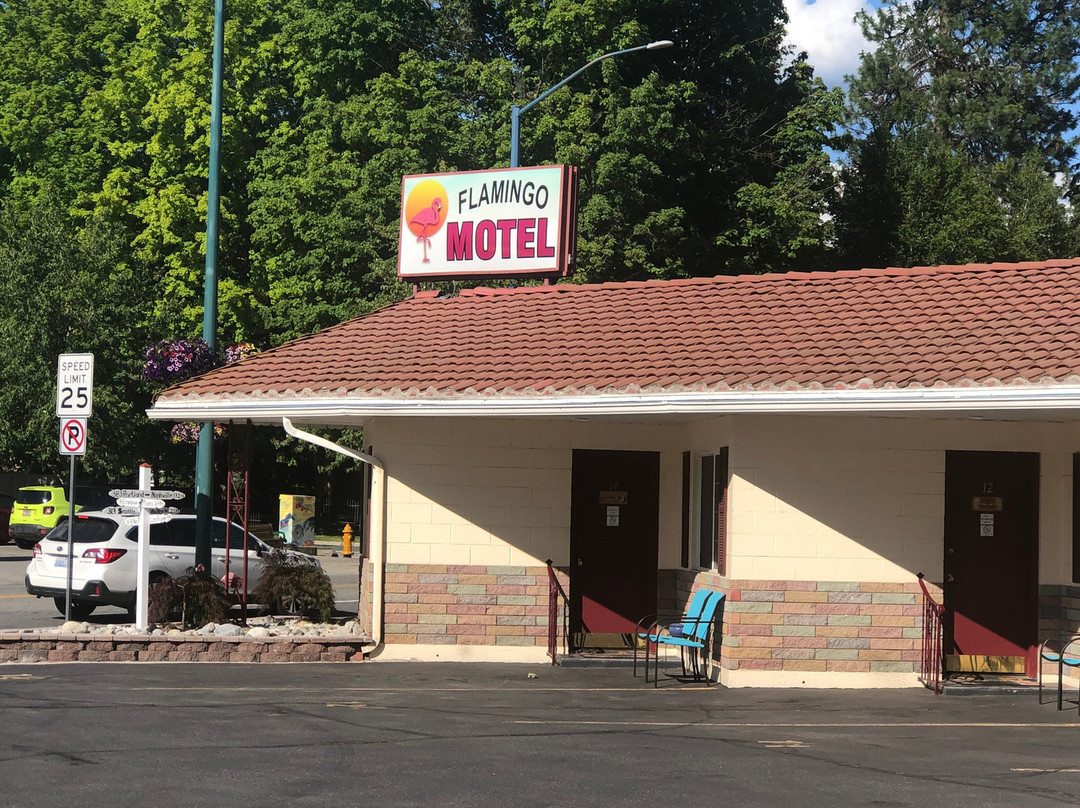 Flamingo Motel主图