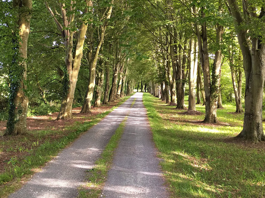 Chateau de l'Isle Marie主图