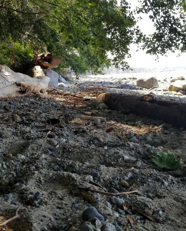 Willingdon Beach Trail-鲍威尔里弗必去景点