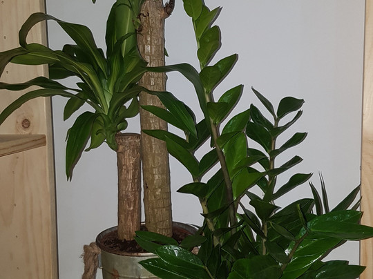 INssência Projecto-Seixal必去景点