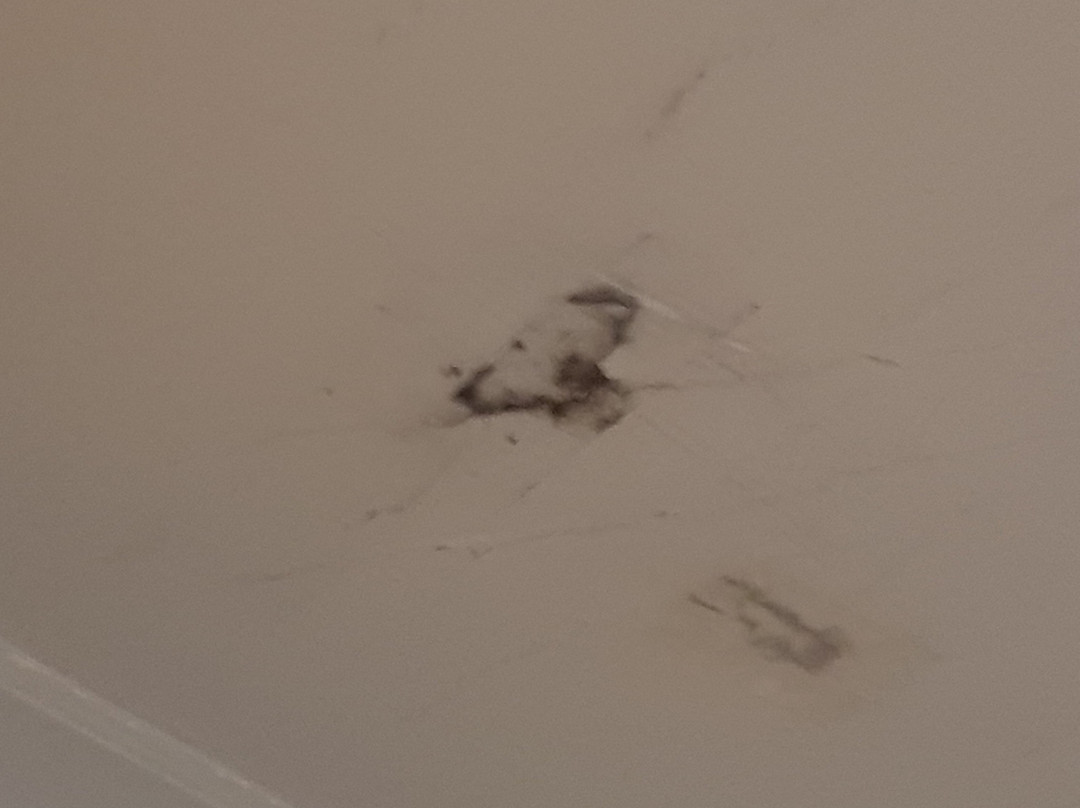 Anna Bella Motel主图