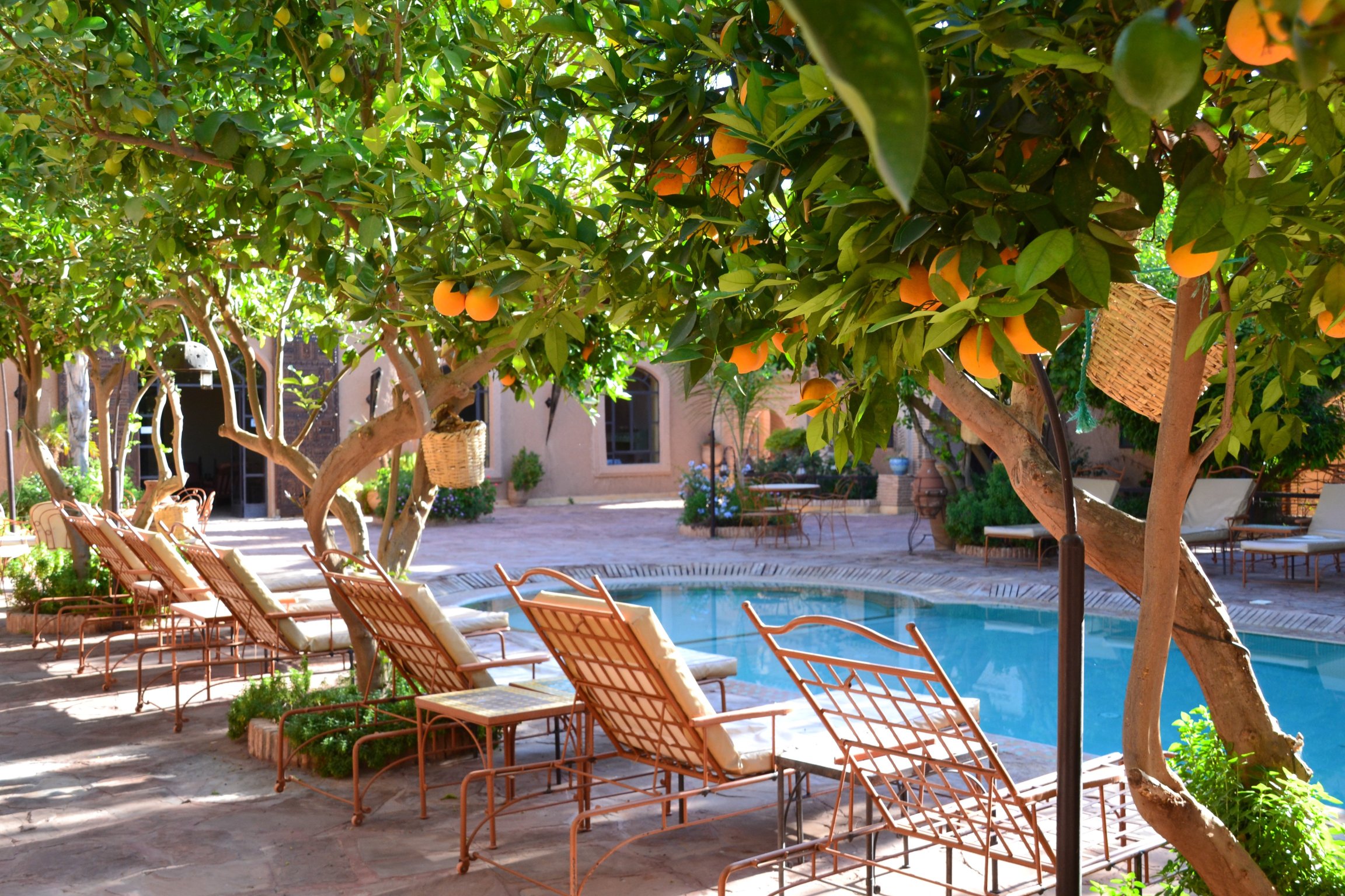 Riad Jnane Ines-泳池