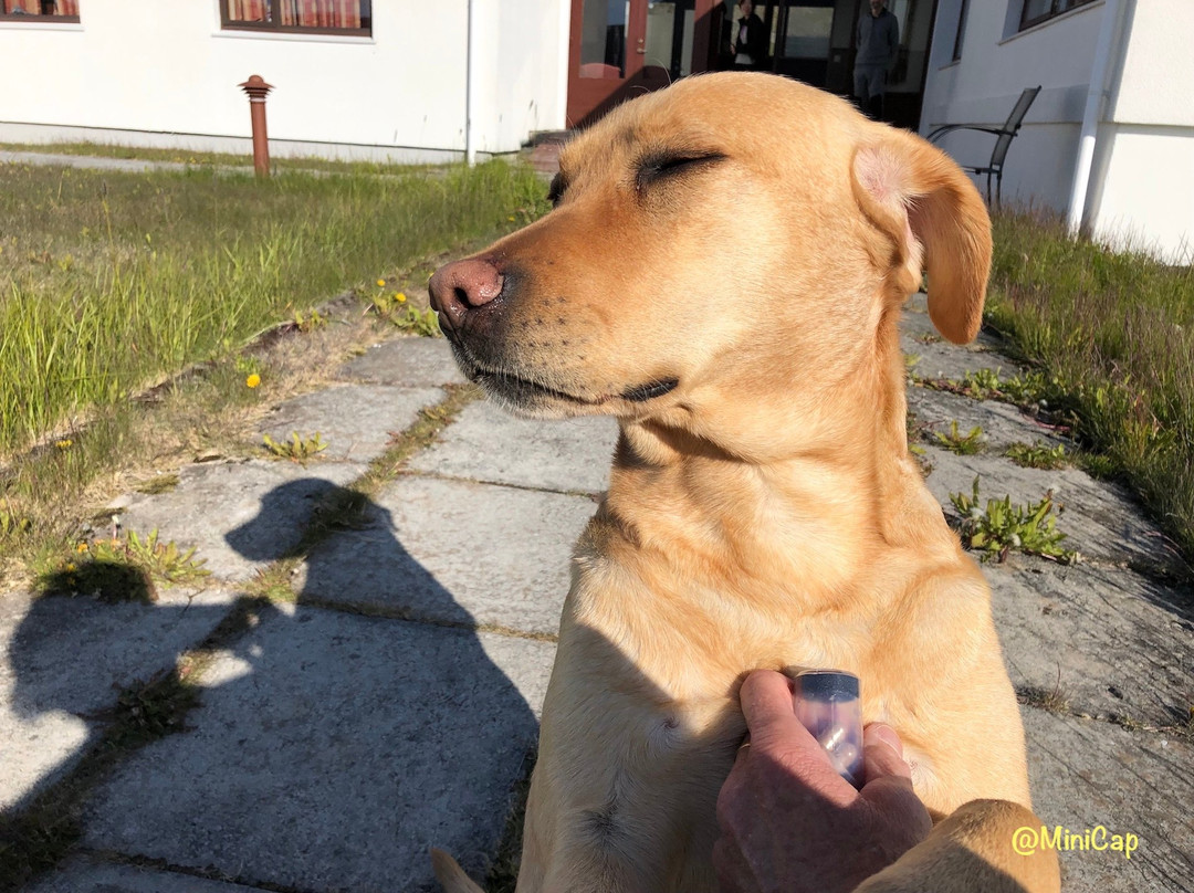 Hotel Latrabjarg主图