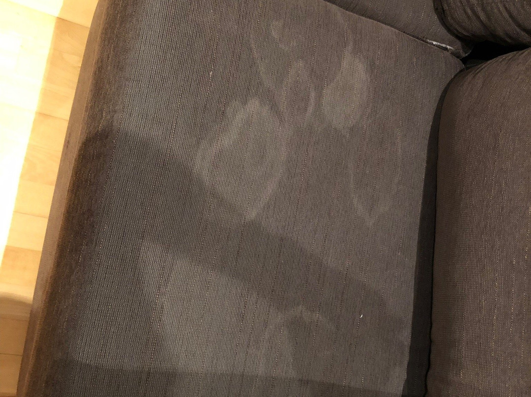 Aparthotel Wellness主图