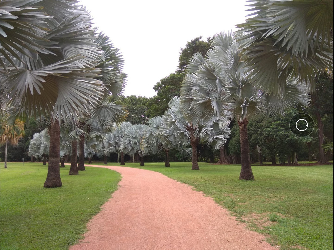 Townsville Palmetum景点图片