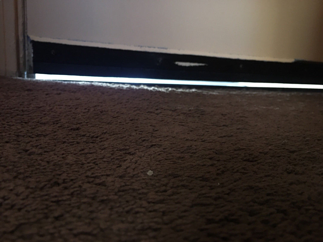 Flamingo Motel主图