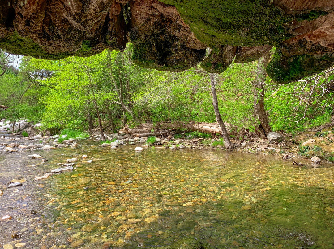 Natural Bridges Trail景点图片