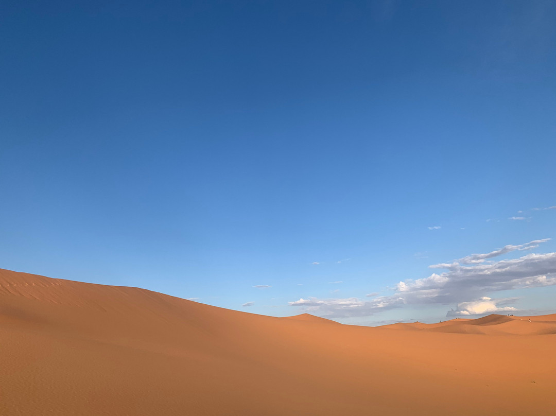 Wilderness Lodge Tours主图