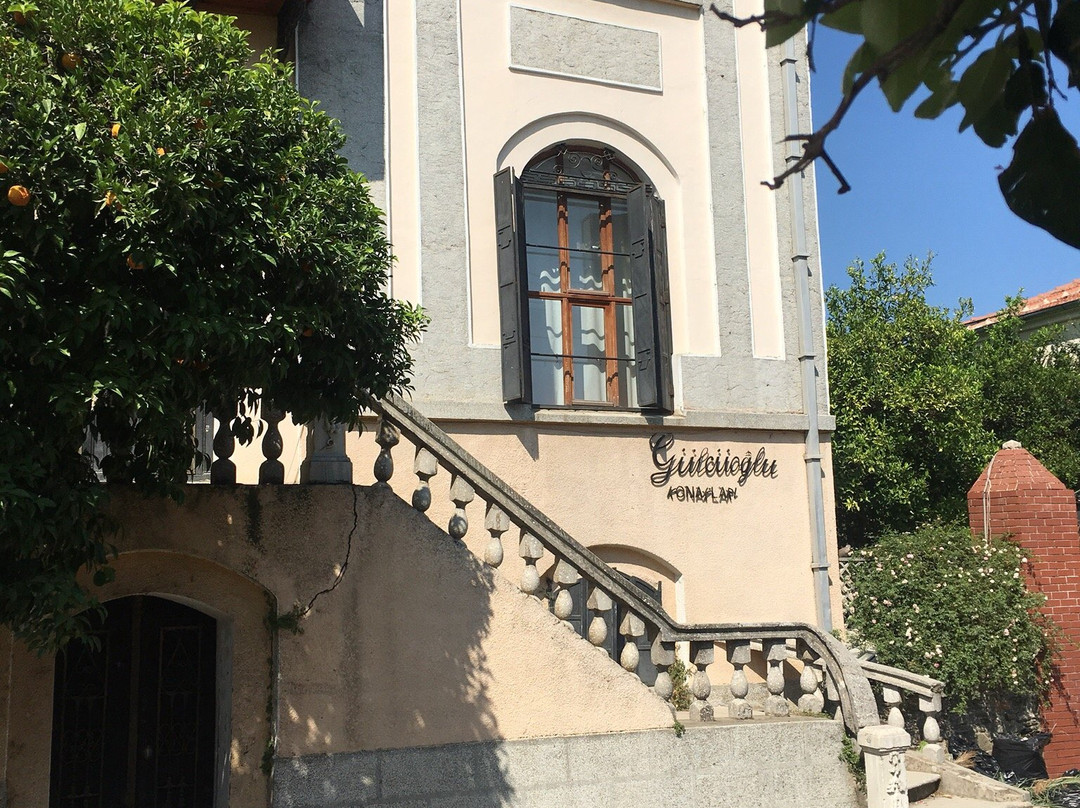 Gulcuoglu Konaklari主图
