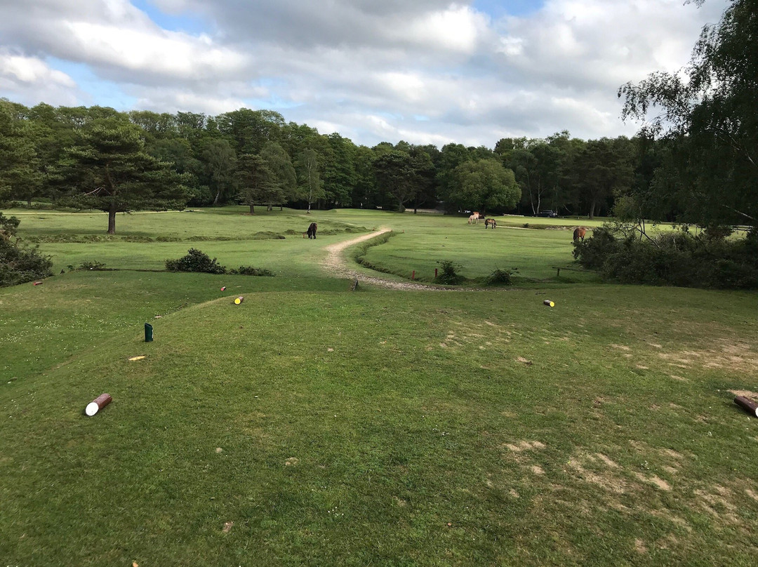 New Forest Golf Club景点图片