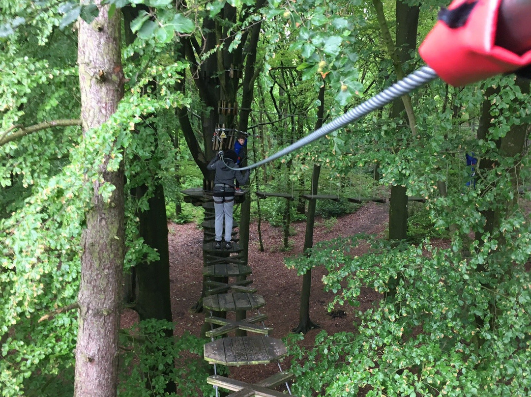 Go Ape Rivington-博尔顿必去景点