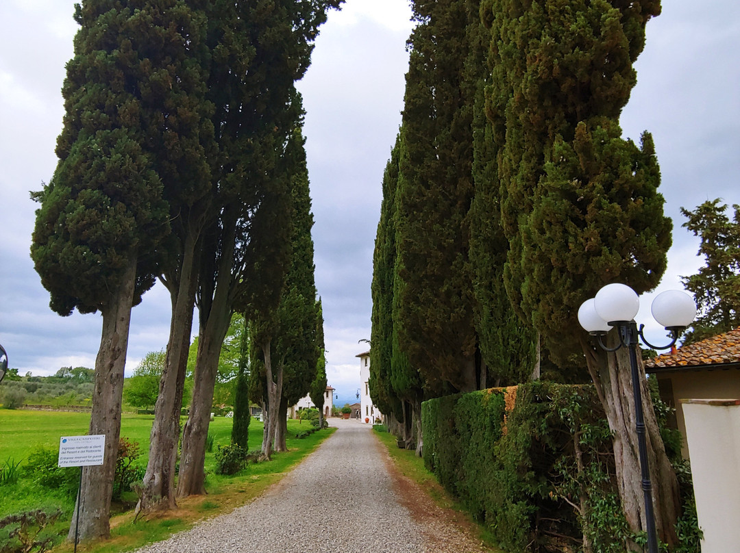 维拉坎佩斯特里橄榄油度假酒店主图