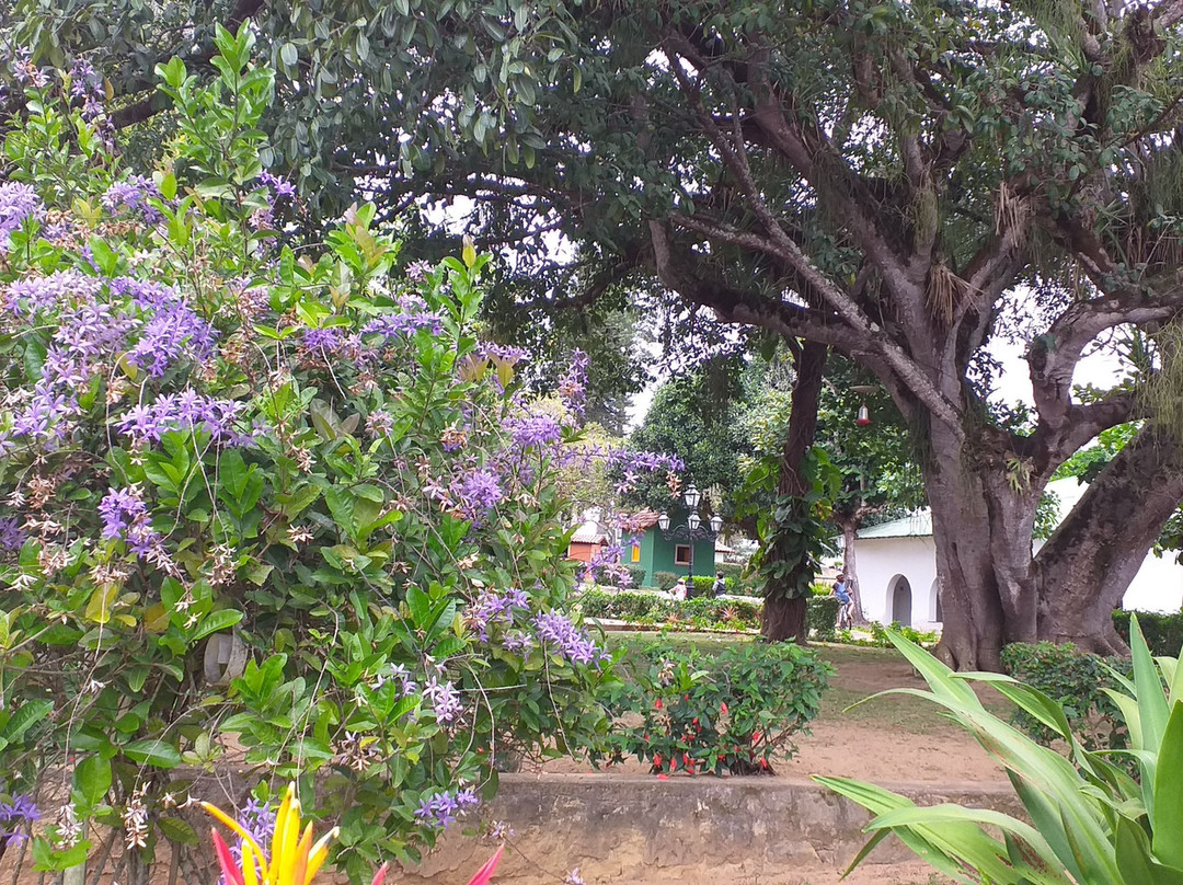 Hotel Tavares Correia主图