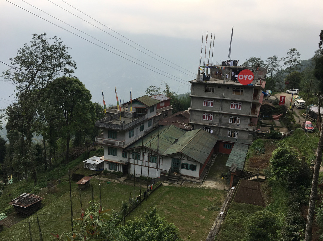 The Ace Pine Valley主图