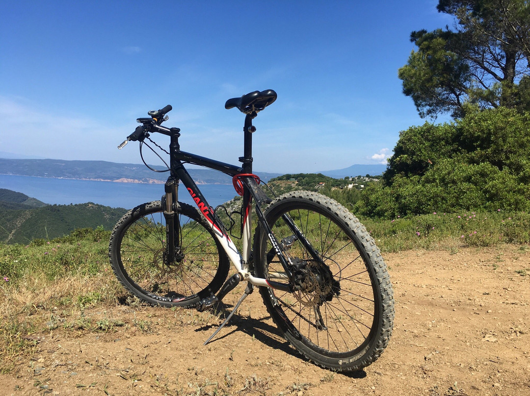 Rent Scooter Skiathos-Skiathos Town必去景点