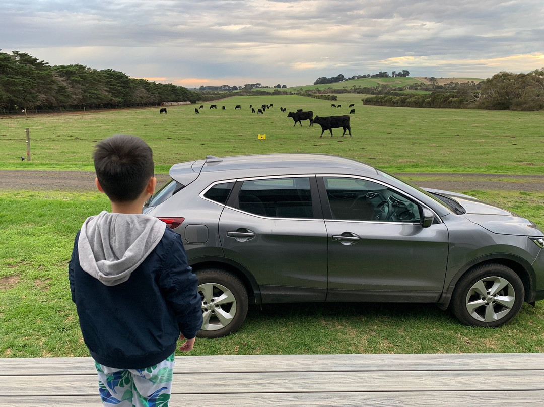 Bimbadeen Phillip Island-Ventnor必去景点