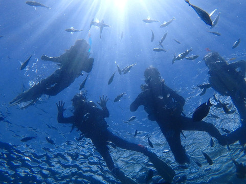 モルダイブ (MalDive)-名护市必去景点