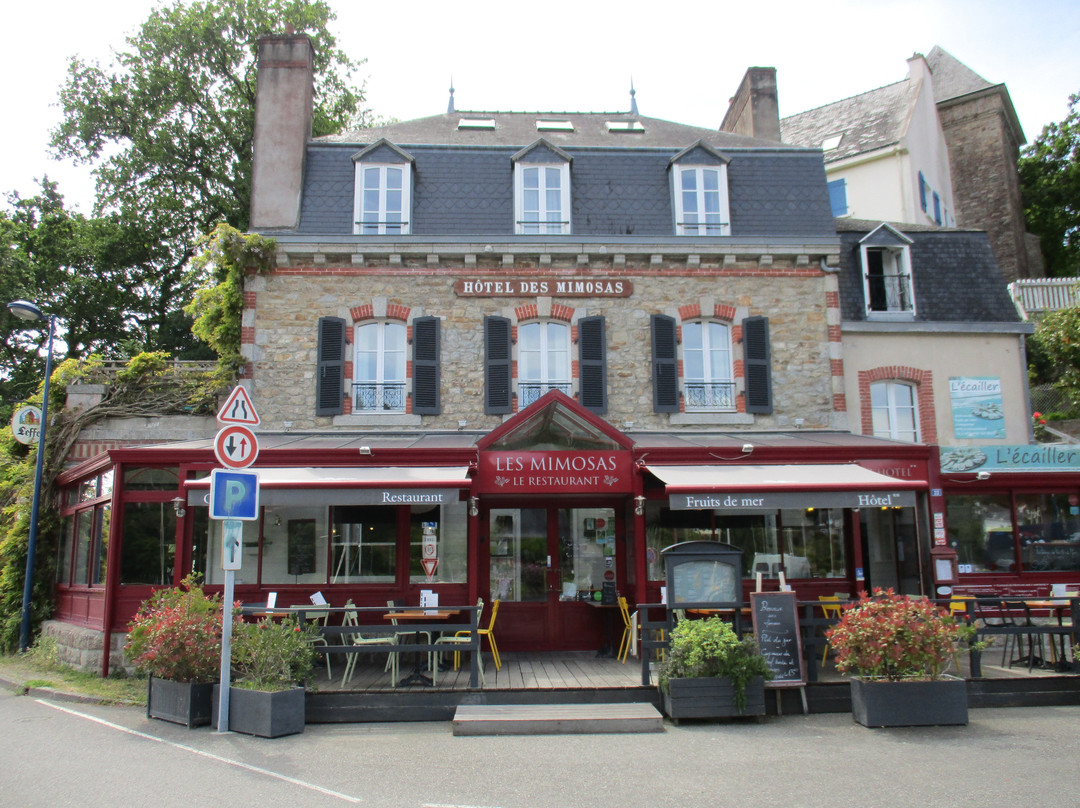 Hôtel de charme les Mimosas主图