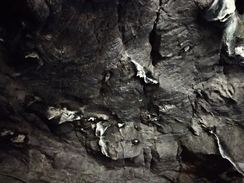 Tavdinskie Caves景点图片