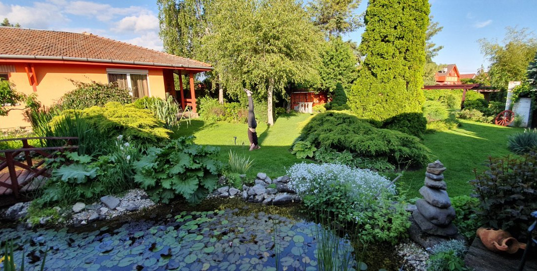 Green Park Wellness Vendeghaz主图