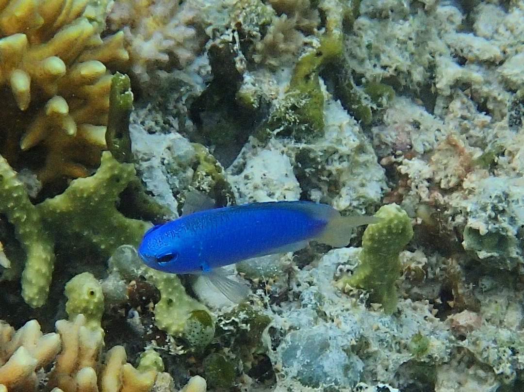 玛哈玛雅度假酒店主图