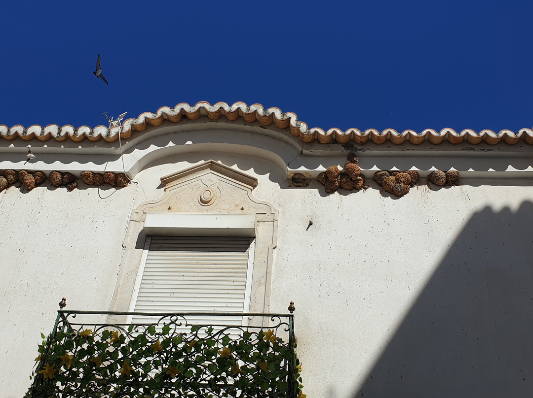 Fonte dos Currais-Estremoz必去景点