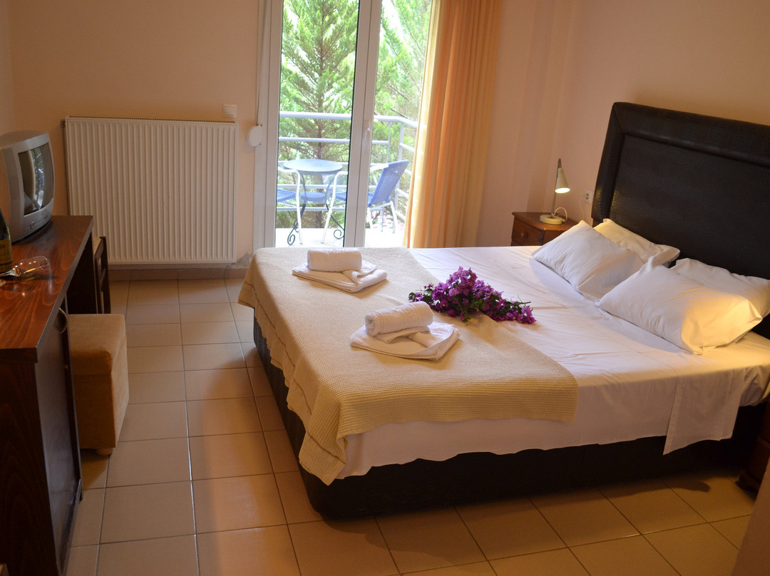 Hotel Filoxenia主图