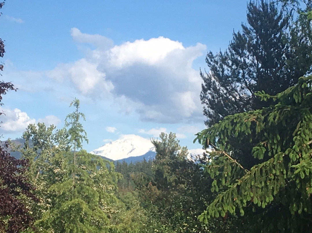 Sundara West B&B主图