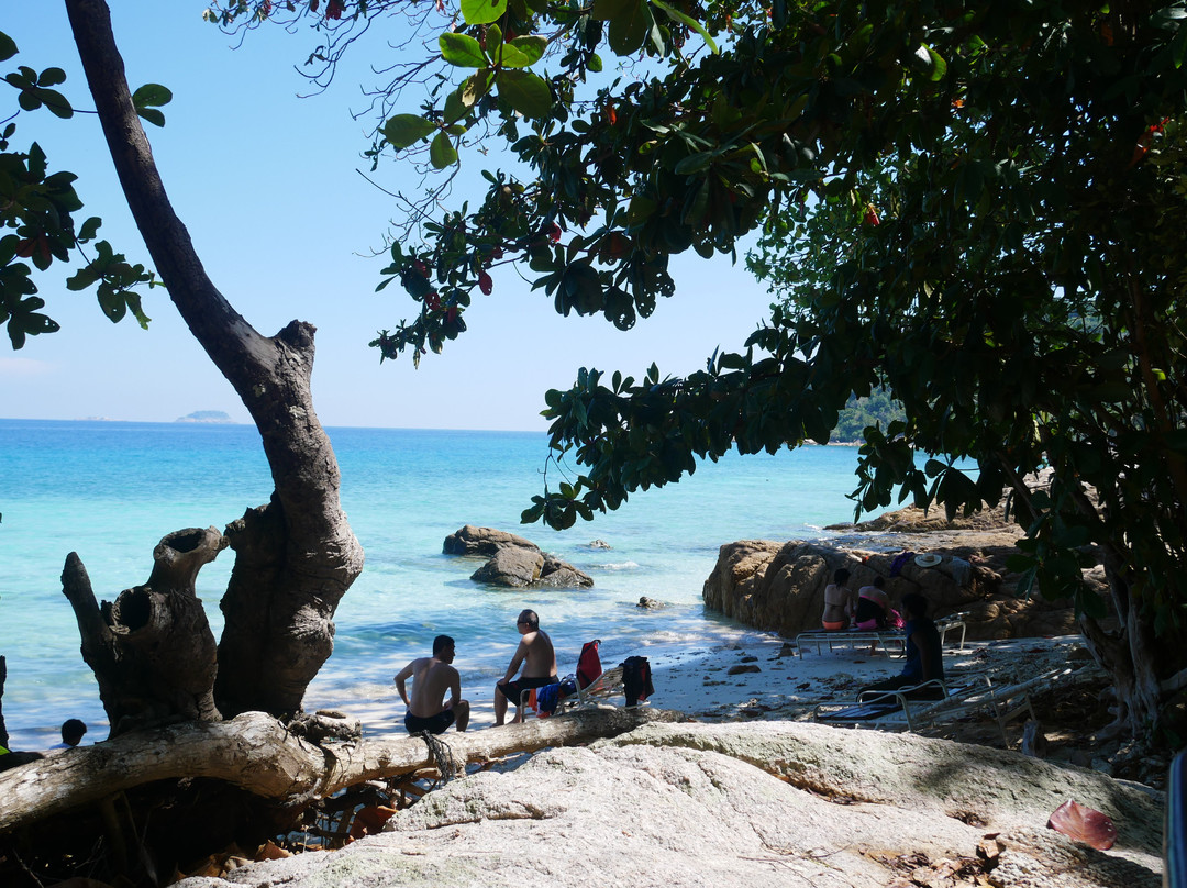 莎丽拉岛度假村主图