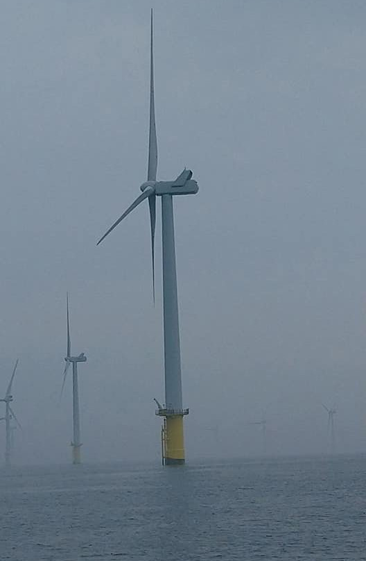 Marina Water Tours-布莱顿必去景点