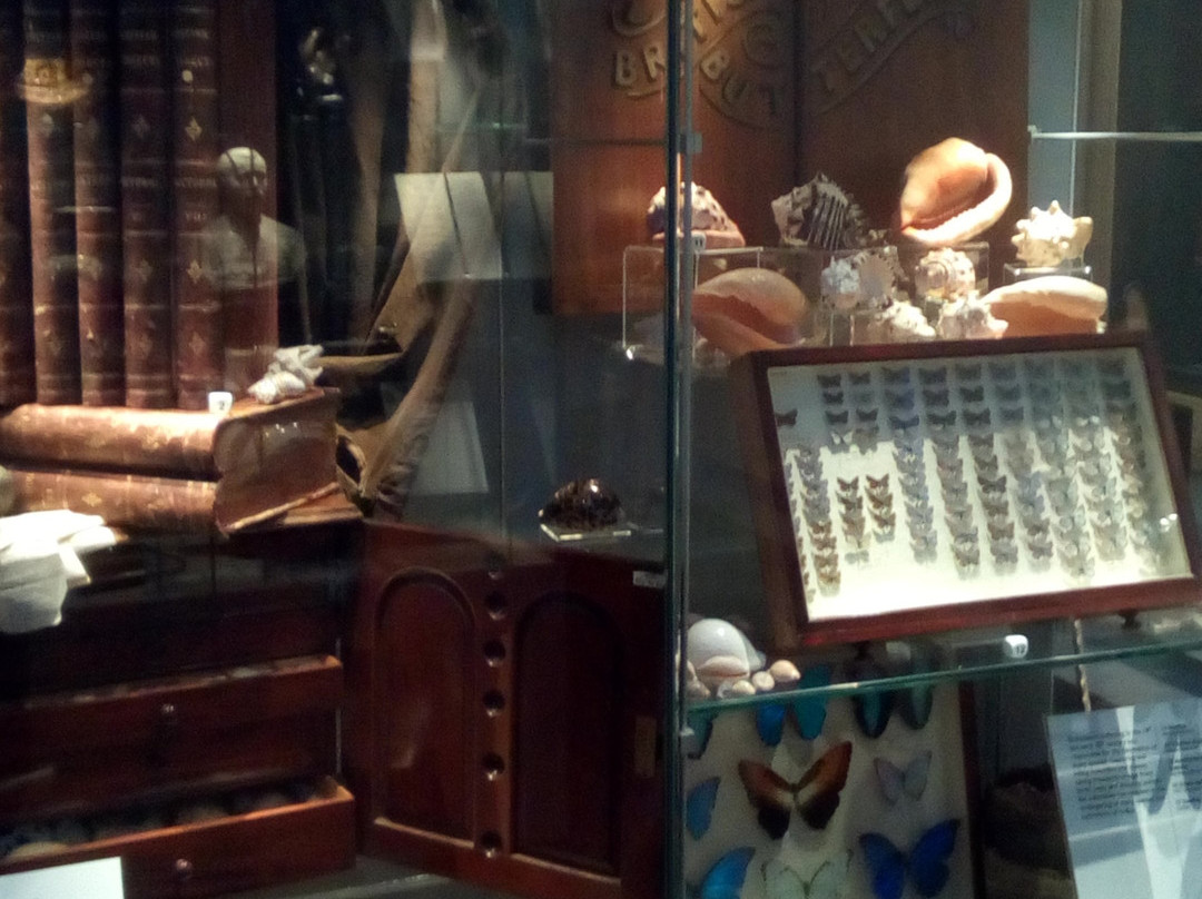 Shrewsbury Museum and Art Gallery-什鲁斯伯里必去景点