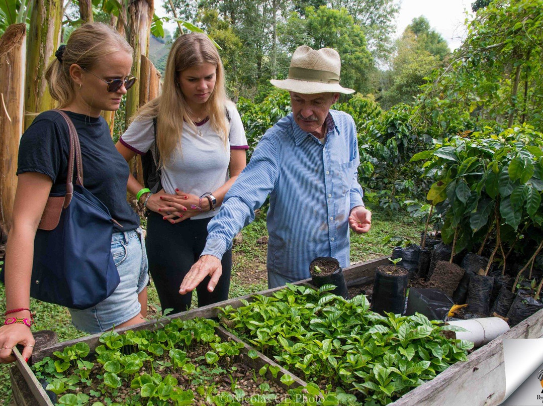 Penelope Birding-Circasia必去景点
