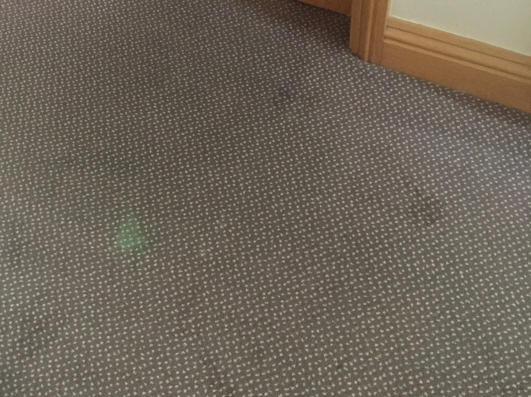 Ashford Court Boutique Hotel主图