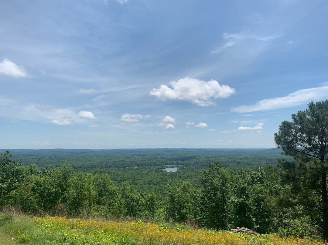 Roosevelt Stables-Pine Mountain必去景点
