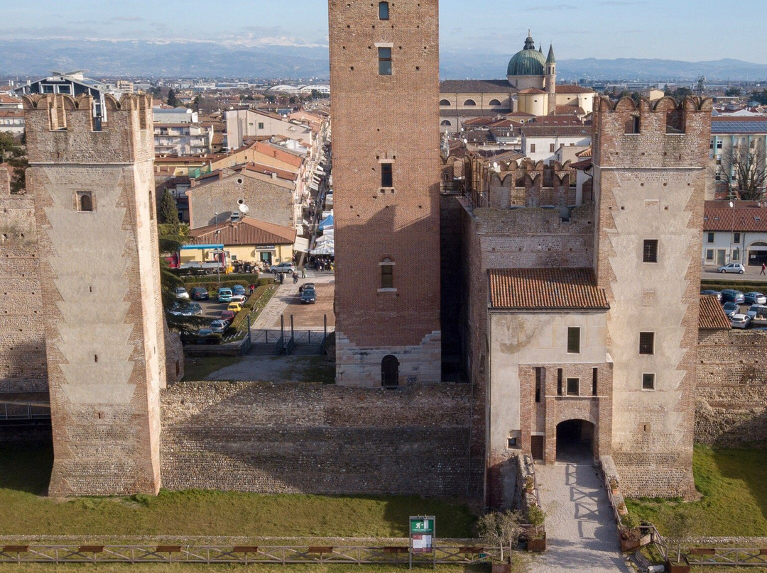 Castello Scaligero di Villafranca景点图片