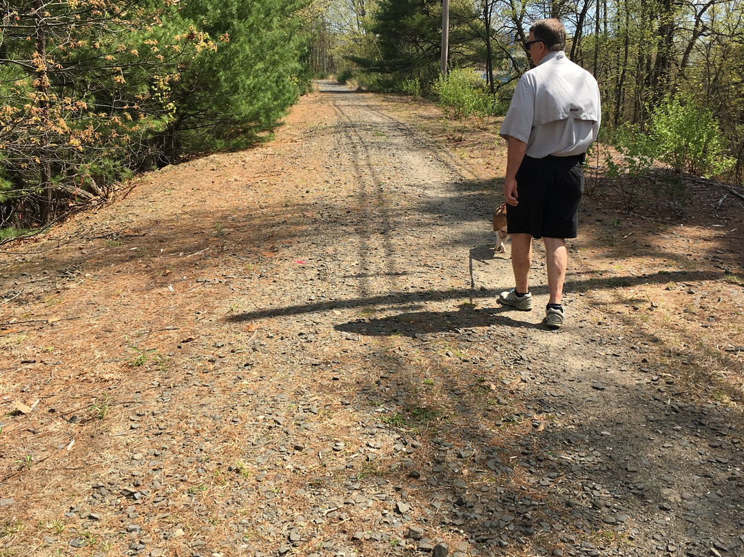 Cochituate Rail Trail-弗雷明汉必去景点